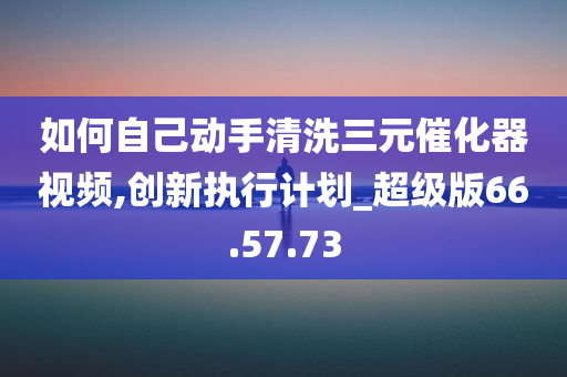 如何自己动手清洗三元催化器视频,创新执行计划_超级版66.57.73