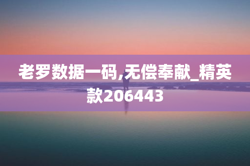 老罗数据一码,无偿奉献_精英款206443