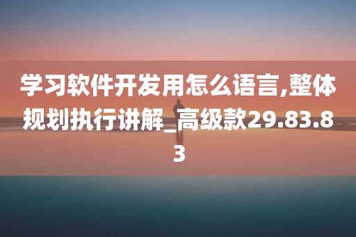 学习软件开发用怎么语言,整体规划执行讲解_高级款29.83.83