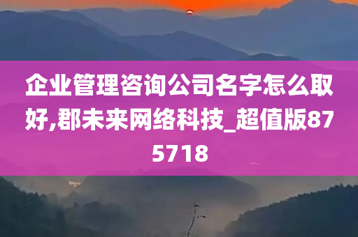 企业管理咨询公司名字怎么取好,郡未来网络科技_超值版875718