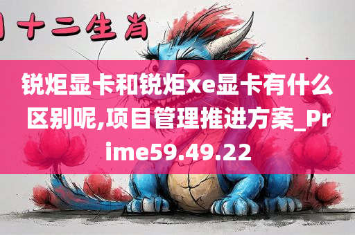 锐炬显卡和锐炬xe显卡有什么区别呢,项目管理推进方案_Prime59.49.22