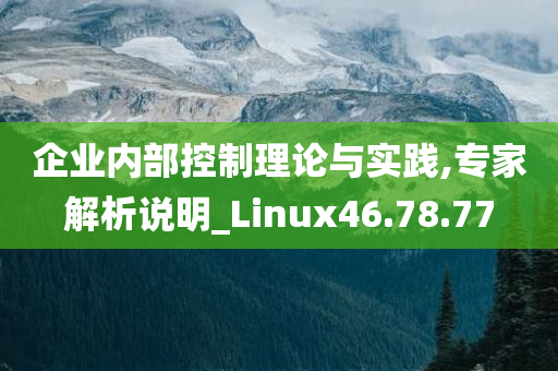 企业内部控制理论与实践,专家解析说明_Linux46.78.77