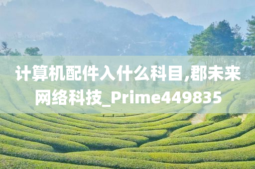 计算机配件入什么科目,郡未来网络科技_Prime449835