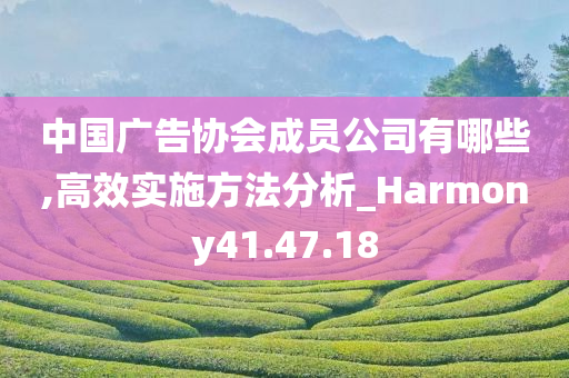 中国广告协会成员公司有哪些,高效实施方法分析_Harmony41.47.18