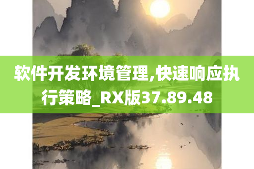 软件开发环境管理,快速响应执行策略_RX版37.89.48