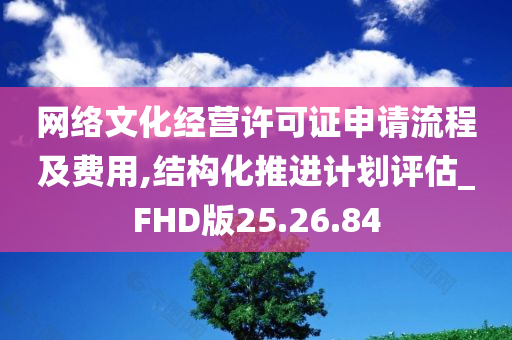 网络文化经营许可证申请流程及费用,结构化推进计划评估_FHD版25.26.84