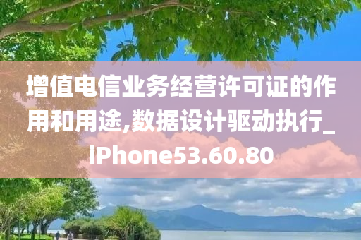 增值电信业务经营许可证的作用和用途,数据设计驱动执行_iPhone53.60.80