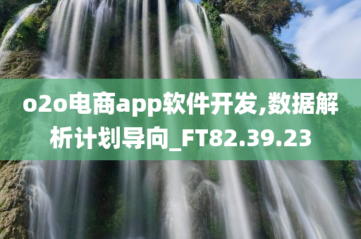 o2o电商app软件开发,数据解析计划导向_FT82.39.23