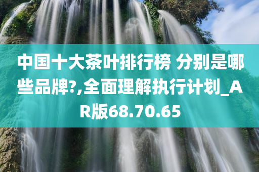 中国十大茶叶排行榜 分别是哪些品牌?,全面理解执行计划_AR版68.70.65