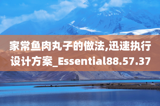 家常鱼肉丸子的做法,迅速执行设计方案_Essential88.57.37