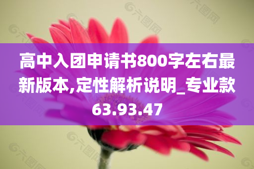 高中入团申请书800字左右最新版本,定性解析说明_专业款63.93.47