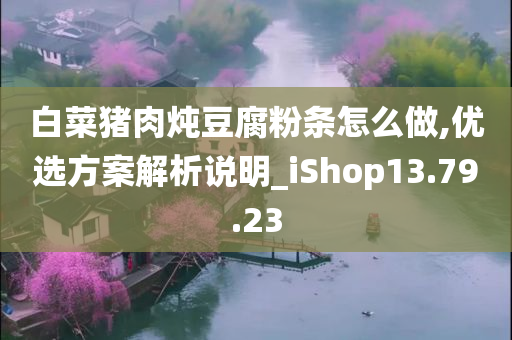 白菜猪肉炖豆腐粉条怎么做,优选方案解析说明_iShop13.79.23