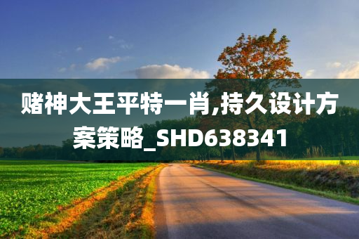 赌神大王平特一肖,持久设计方案策略_SHD638341