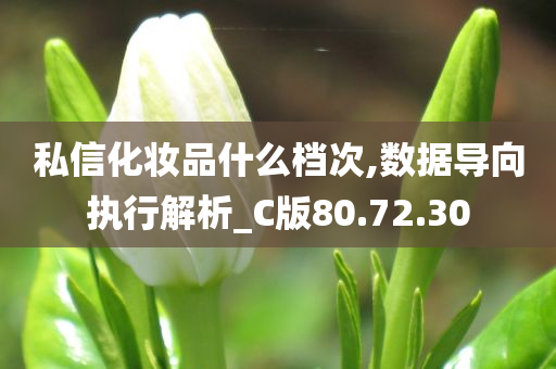 私信化妆品什么档次,数据导向执行解析_C版80.72.30