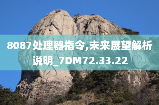 8087处理器指令,未来展望解析说明_7DM72.33.22