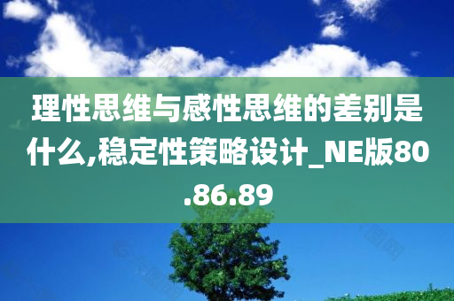 理性思维与感性思维的差别是什么,稳定性策略设计_NE版80.86.89