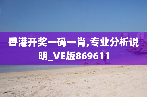 香港开奖一码一肖,专业分析说明_VE版869611