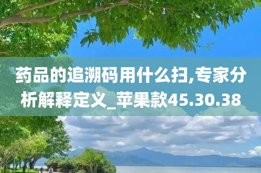 药品的追溯码用什么扫,专家分析解释定义_苹果款45.30.38