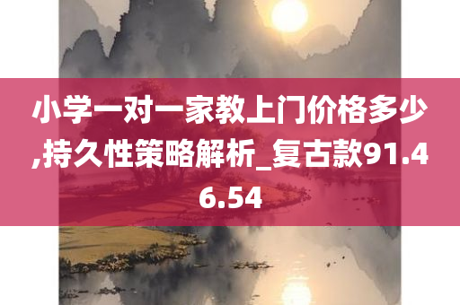 小学一对一家教上门价格多少,持久性策略解析_复古款91.46.54