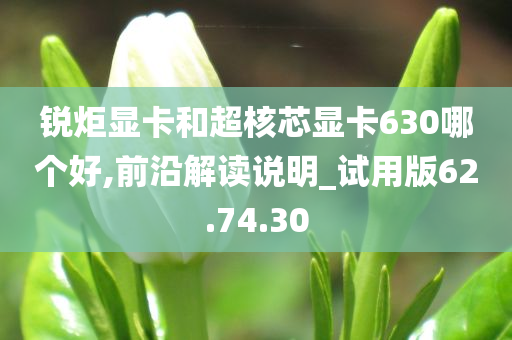 锐炬显卡和超核芯显卡630哪个好,前沿解读说明_试用版62.74.30