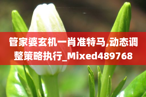 管家婆玄机一肖准特马,动态调整策略执行_Mixed489768