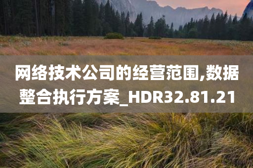 网络技术公司的经营范围,数据整合执行方案_HDR32.81.21