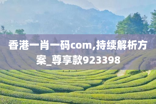 香港一肖一码com,持续解析方案_尊享款923398