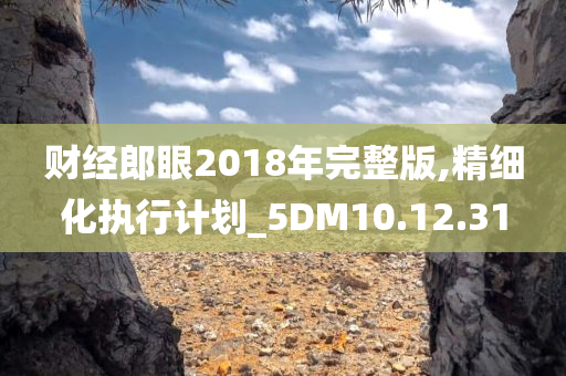 财经郎眼2018年完整版,精细化执行计划_5DM10.12.31