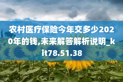 农村医疗保险今年交多少2020年的钱,未来解答解析说明_kit78.51.38