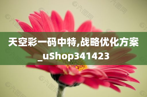 天空彩一码中特,战略优化方案_uShop341423