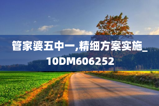 管家婆五中一,精细方案实施_10DM606252