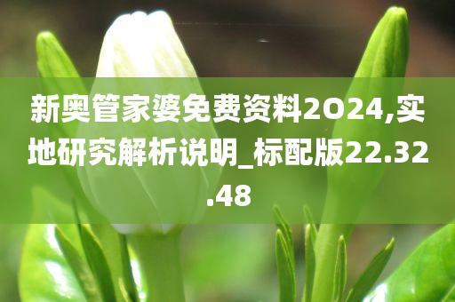 新奥管家婆免费资料2O24,实地研究解析说明_标配版22.32.48