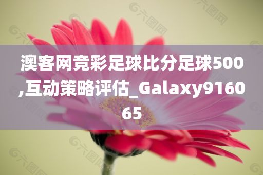 澳客网竞彩足球比分足球500,互动策略评估_Galaxy916065