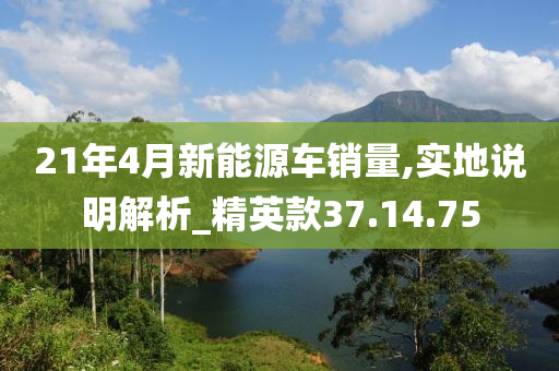 21年4月新能源车销量,实地说明解析_精英款37.14.75