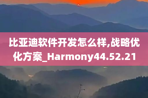 比亚迪软件开发怎么样,战略优化方案_Harmony44.52.21