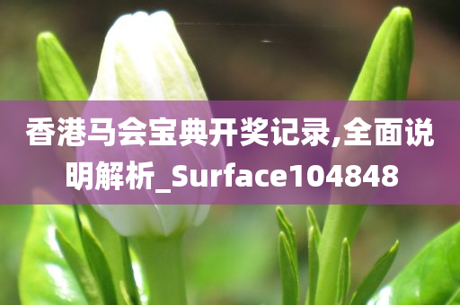 香港马会宝典开奖记录,全面说明解析_Surface104848