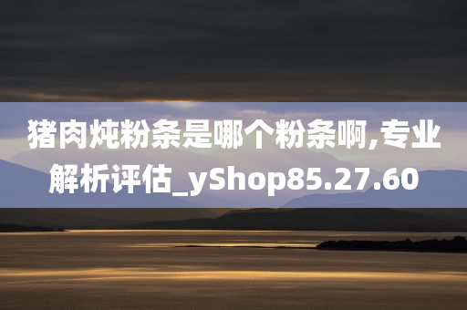 猪肉炖粉条是哪个粉条啊,专业解析评估_yShop85.27.60