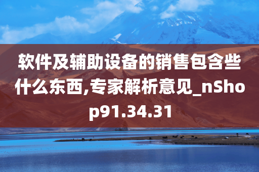 软件及辅助设备的销售包含些什么东西,专家解析意见_nShop91.34.31