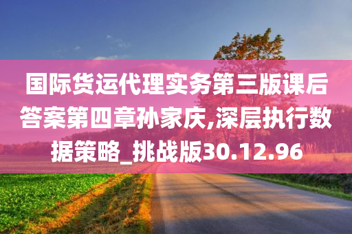 国际货运代理实务第三版课后答案第四章孙家庆,深层执行数据策略_挑战版30.12.96