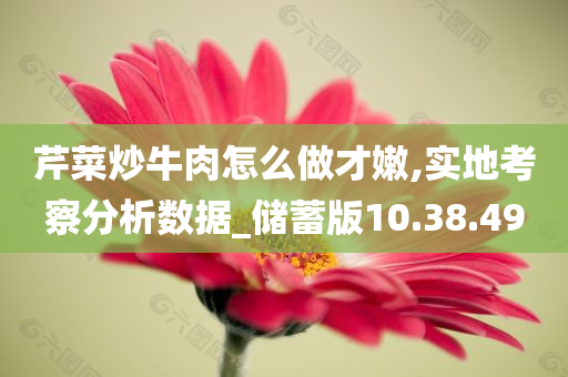 芹菜炒牛肉怎么做才嫩,实地考察分析数据_储蓄版10.38.49