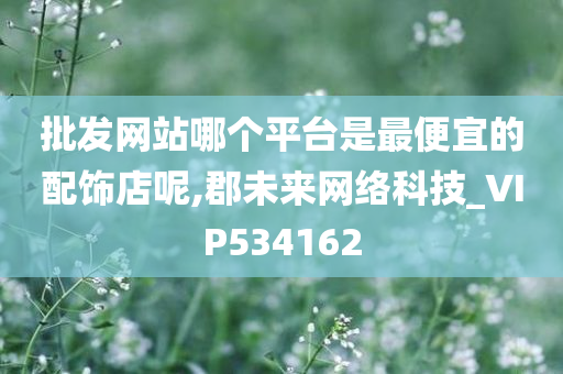 批发网站哪个平台是最便宜的配饰店呢,郡未来网络科技_VIP534162