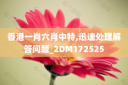 香港一肖六肖中特,迅速处理解答问题_2DM172525