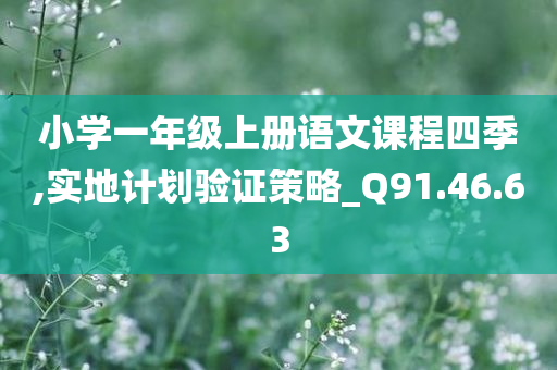 小学一年级上册语文课程四季,实地计划验证策略_Q91.46.63