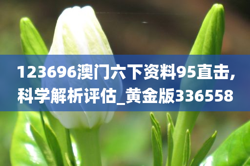 123696澳门六下资料95直击,科学解析评估_黄金版336558