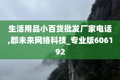 生活用品小百货批发厂家电话,郡未来网络科技_专业版606192