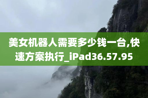 美女机器人需要多少钱一台,快速方案执行_iPad36.57.95