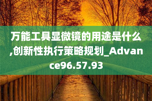 万能工具显微镜的用途是什么,创新性执行策略规划_Advance96.57.93