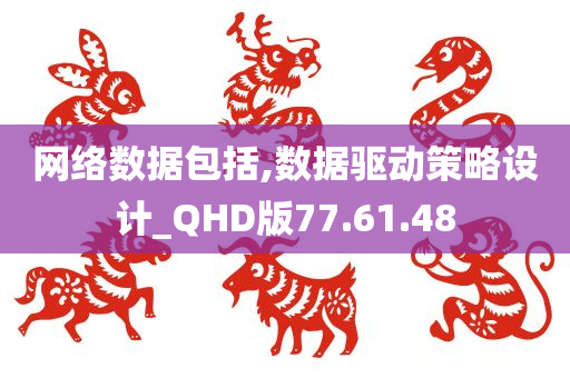 网络数据包括,数据驱动策略设计_QHD版77.61.48