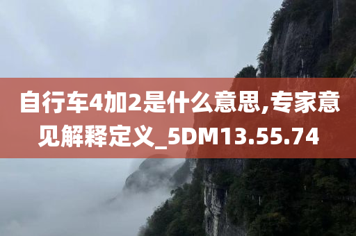 自行车4加2是什么意思,专家意见解释定义_5DM13.55.74