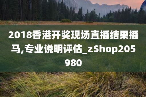 2018香港开奖现场直播结果播马,专业说明评估_zShop205980